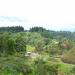Forest Luge in Manolo Fortich city