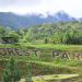 Forest Luge in Manolo Fortich city