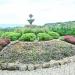 Garden in Manolo Fortich city