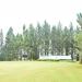 Pines in Manolo Fortich city