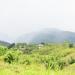 Road View in Manolo Fortich city