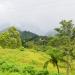 Road View in Manolo Fortich city