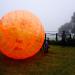 Zorb