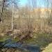Болото в городе Коростень