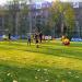 Футбольное поле в городе Кишинёв