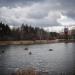 Пруд в городе Щёлково