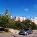 Небольшая роща в городе Череповец