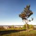 Goncharikha Hill in Kaniv city