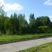Роща в городе Череповец