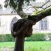 Jardin de Notre Dame (de) dans la ville de Beaune
