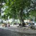 Parque Municipal Palmir Silva - Horto do Barreto na Niterói city