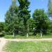 Территория детского дома №9 в городе Череповец