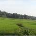 The Great Eduthara Water Falls in Pattambi city