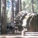 Calaveras Big Trees State Park