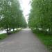Аллея влюблённых в городе Синельниково