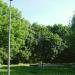 Frascati (pl) in Warsaw city