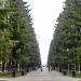 Аллея им. М. Куприяновой (Первомайская аллея) в городе Уфа