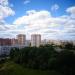 Лес в городе Череповец