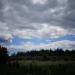 Разрушенный коровник в городе Череповец