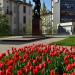 Pomnik płk. Leopolda Lisa-Kuli in Rzeszów city