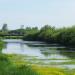 Старица реки Бачат в городе Белово