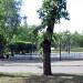 Парк Шахтёров в городе Черногорск