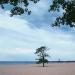 Grand Haven State Park