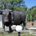 Скульптура быка в городе Абакан