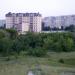 Лесопосадка в городе Луганск