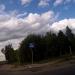 Рощица в городе Череповец