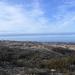 la foret de la plage de ain adjroud et de bider