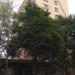 ул. Строителей, 11 в городе Реутов