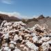 Valle de la Luna (Vale da Lua)