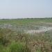 Jagdishpur Lake