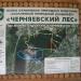 Черняевское лесничество в городе Пермь