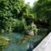 Островок с тигром (ru) in Gagra city