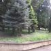 Парк in Долна Митрополия city