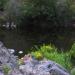 gold panning