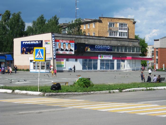 Магазины Г Туринска
