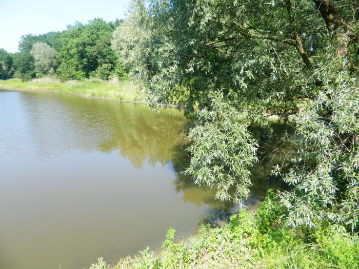 Нижегородская область Дубки Выкса