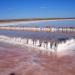 Lake Elton