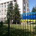 Дерево в городе Мариуполь