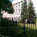 Дерево в городе Мариуполь