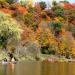 Pictured Rocks Wildlife Management Area