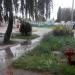 Пожарный гидрант (ru) in Brovary city