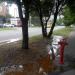 Пожарный гидрант (ru) in Brovary city