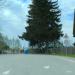 Большой просп., 38 в городе Выра
