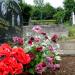 Cemetery of Mokra Gora