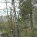 Большой просп., 60 в городе Выра