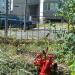 Пожарный гидрант (ru) in Brovary city